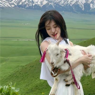 女帅男兵 海报